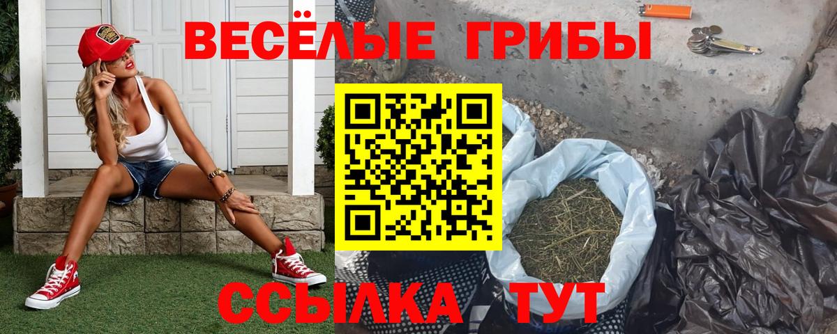 Калач-на-Дону  наркота  Вход с VPN  Псилоцибиновые грибы Cubensis 